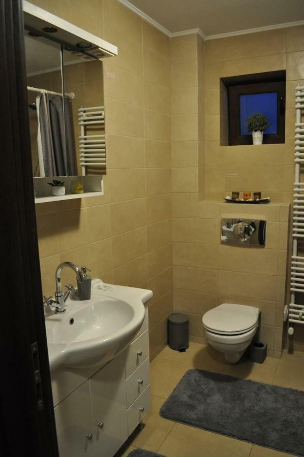 Sleep & Fly Apartment Otopeni Ngoại thất bức ảnh